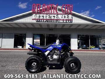 New 2026 Yamaha Raptor 110