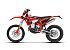 New 2027 Beta 390 RR
