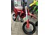 New 2027 Gas Gas MC 50