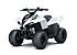 New 2027 Kawasaki KFX50