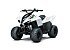 New 2027 Kawasaki KFX50