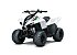 New 2027 Kawasaki KFX50