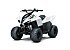 New 2027 Kawasaki KFX50