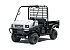 New 2027 Kawasaki Mule 4000
