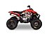 New 2027 Kayo Storm 300