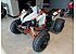 New 2027 Kayo Storm 300