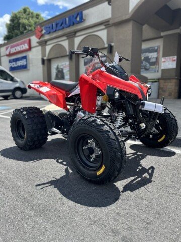 New 2027 Kayo Storm 300