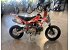 New 2027 Kayo TS 90