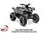 New 2027 Polaris Phoenix 200