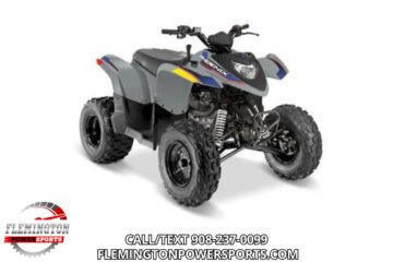 New 2027 Polaris Phoenix 200