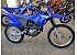 New 2027 Yamaha TT-R230