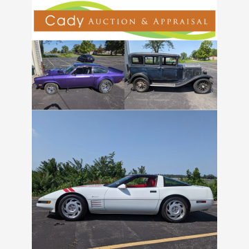 Cady Auction Gallery & Appraisal