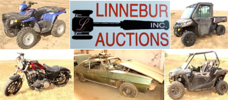 Live "On Site" Public Moving Auction - Classic Car, Motorcycle & Powersports