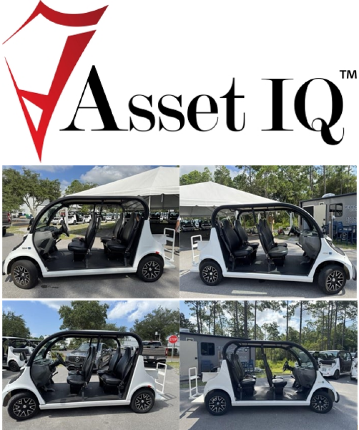 2021 GEM e4 Electric Carts Auction - Online Only