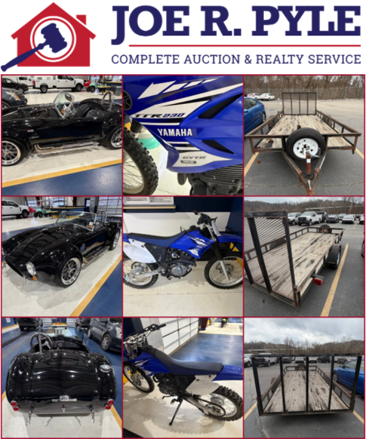 Online Bankruptcy Auction - Cobra Replica, Dirt Bike & Trailer
