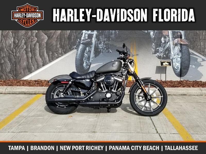 New 2019 Harley-Davidson Sportster Iron 883