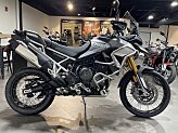 New 2024 Triumph Tiger 900 Rally Aragon Edition