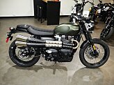New 2024 Triumph Street Scrambler
