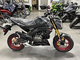 New 2024 Kawasaki Z125 Pro