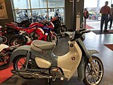 New 2024 Honda Super Cub C125
