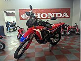 New 2024 Honda CRF300L Rally ABS