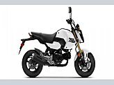New 2025 Honda Grom