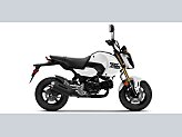 New 2025 Honda Grom