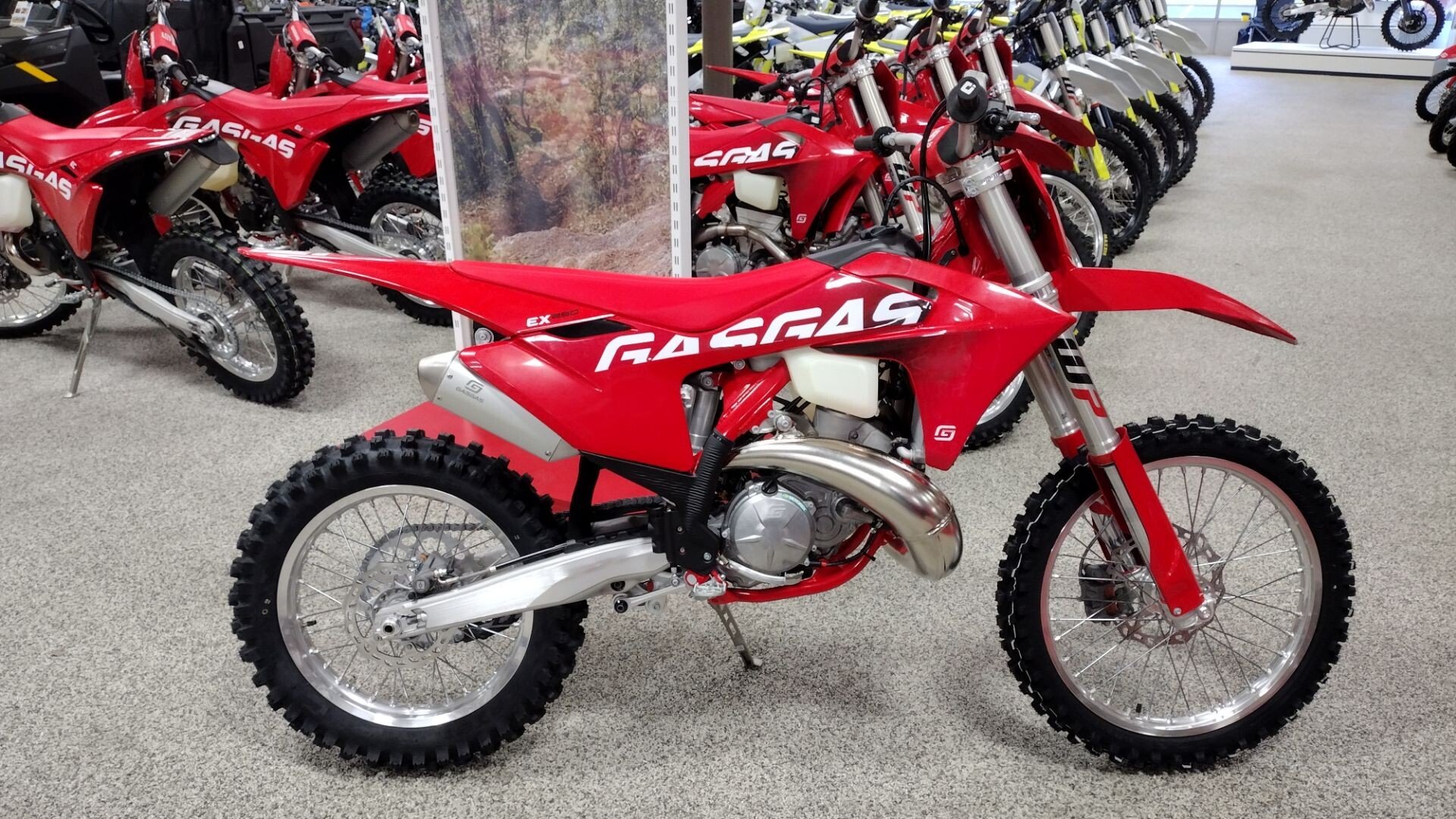 New 2024 Gas Gas EX250
