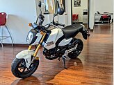 New 2025 Honda Grom