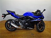 2022 Suzuki GSX250R