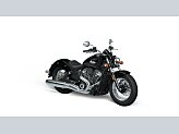 New 2025 Indian Scout Classic
