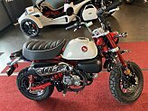 New 2025 Honda Monkey ABS
