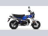 New 2025 Honda Dax 125