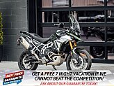 New 2024 Triumph Tiger 900 Rally Pro