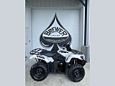 New 2025 Kawasaki Brute Force 450 4x4