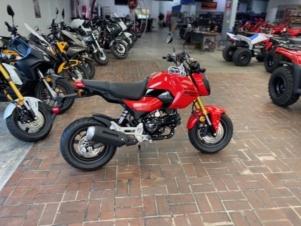 New 2025 Honda Grom