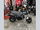 New 2025 Honda Dax 125