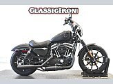 2022 Harley-Davidson Sportster Iron 883