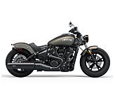 New 2025 Indian Scout
