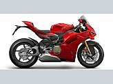 New 2025 Ducati Panigale V4