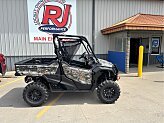 New 2025 Honda Pioneer 1000 Forest
