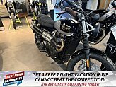 New 2025 Triumph Street Scrambler