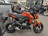 New 2025 Kawasaki Z125 Pro