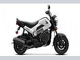 New 2025 Honda Navi