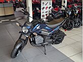 New 2025 Honda Navi