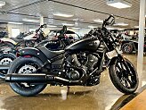 New 2025 Indian Scout Sport Limited
