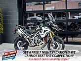 New 2025 Triumph Tiger 1200 Rally Pro