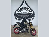 New 2025 Kawasaki Z125 Pro