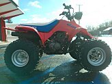 1990 Suzuki QuadRunner 230
