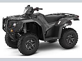 New 2025 Honda FourTrax Foreman Rubicon